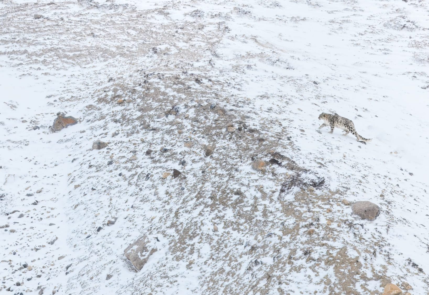 Montagne di Sera – Il fantasma delle montagne